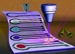 Nanostructured Biosensors Detect Pesticide, Help Preserve Environment