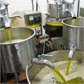 Italy’s Olive Oil Startup Elaisian 'Talks' to Trees by Using High Tech Algorithms 