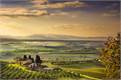 Olive Oil Tours Go From Farm to Bottle