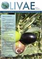 A Snapshot of the Turkish Olive Oil Sector