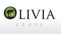 Olivia Grove