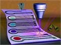 Nanostructured Biosensors Detect Pesticide, Help Preserve Environment