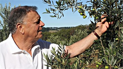 In Victoria, Taralinga Estate Celebrates Tradition While Embracing Innovation