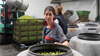 Global Olive Oil Production Expected to Slip to 2.9M Tons