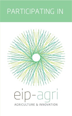 EIP-AGRI Focus Group Pests and Diseases of the Olive Tree: Final report