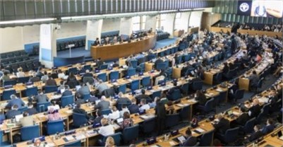 UN Issues New Standards to Curb Spread of Xylella