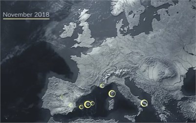 Europe Steps up Fight to Stop Deadly Olive Tree Disease