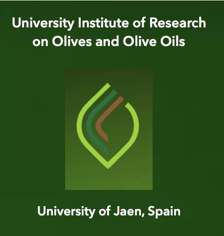 Sustainability in the Olive Sector