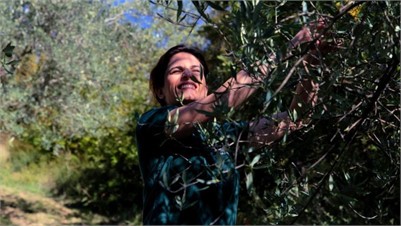 Italian Farmers, Producers Confirm Production Rebound