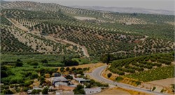 European Geographical Indicators Valued at More Than $80 Billion