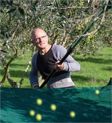 New Zealand Producer Uses Brix Levels to Determine Ideal Harvest Moment