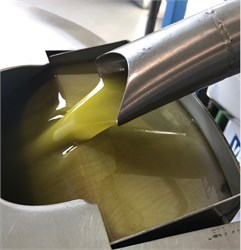The Olive (Olea europaea L.) Industry in China: its Status, Opportunities and Challenges