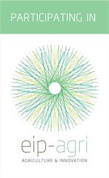 EIP-AGRI Focus Group Pests and Diseases of the Olive Tree: Final report