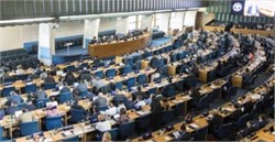UN Issues New Standards to Curb Spread of Xylella