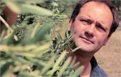 The Give and Take of French Cultivars