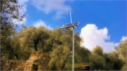 Liguria Region Launches Innovative Olive Farming Project with AI and Smart Sensors