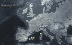 Europe Steps up Fight to Stop Deadly Olive Tree Disease