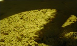 New Research Reveals Impact of Malaxation on Olive Oil Phenolic Profile