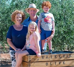 Olive Growers Face Challenging Season with Limited Water Supply, Heat