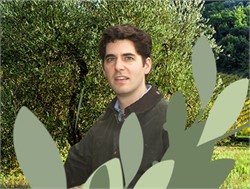 Australian Consumers are Increasingly Demanding with the EVOO They Buy