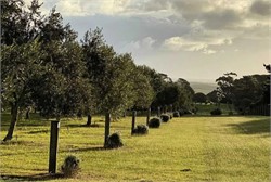 Labor Shortages, Recent Floods Create 'Insane Situation' as Australian Harvest Begins
