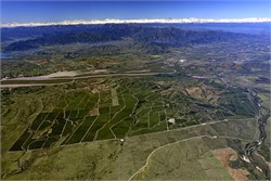 How a Chilean Disrupter Shook Up the Country's Olive Sector